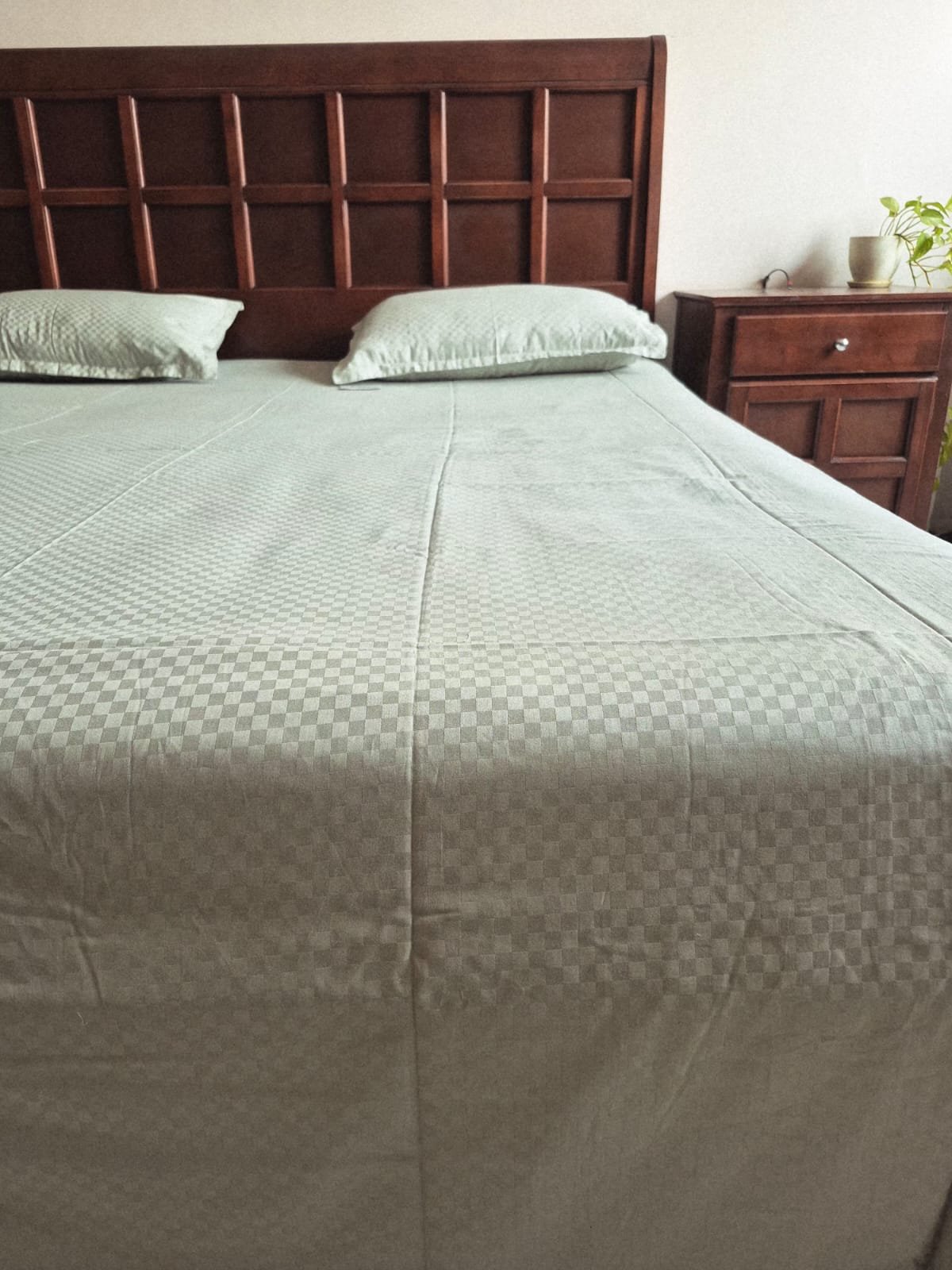 Premium Buttery-Soft Collection Bedsheet (108x108) (02) - Image 5